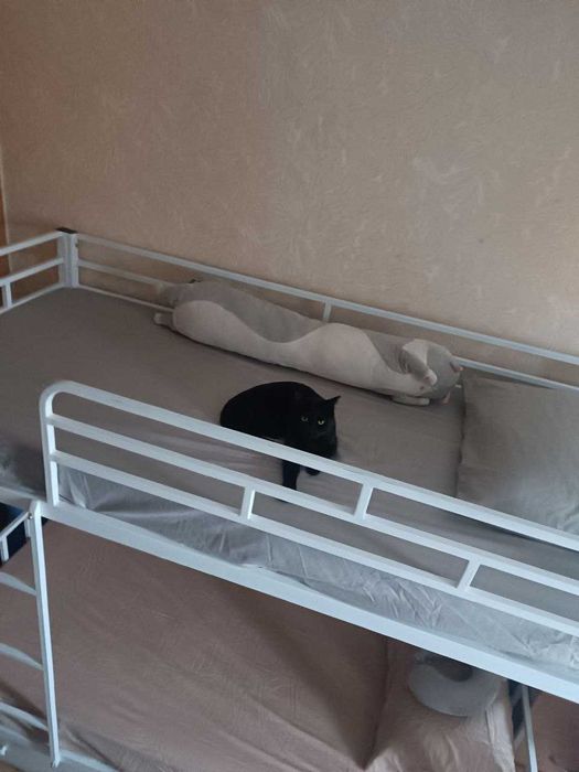 Металлическая Двухъярусная Кровать