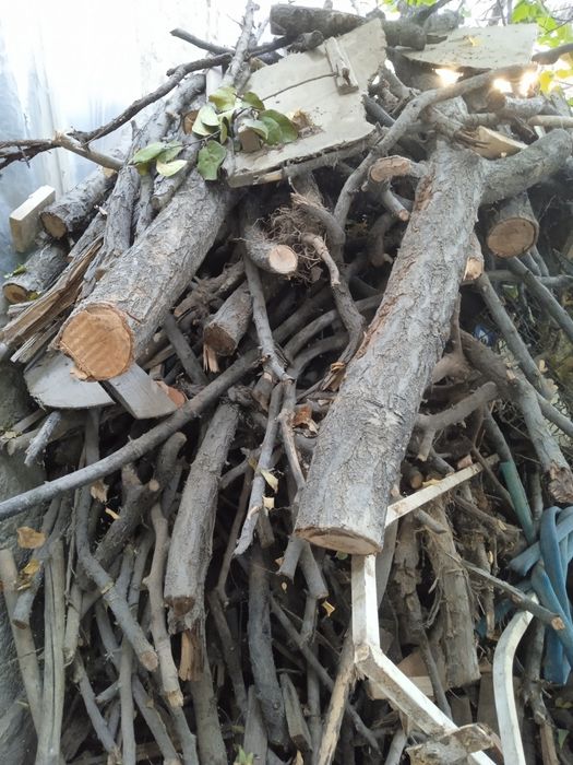 Oʻtin sotiladi arzon