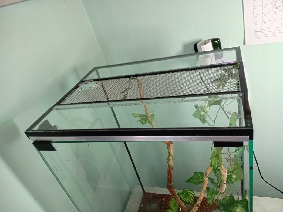 Терариум терароум терариум