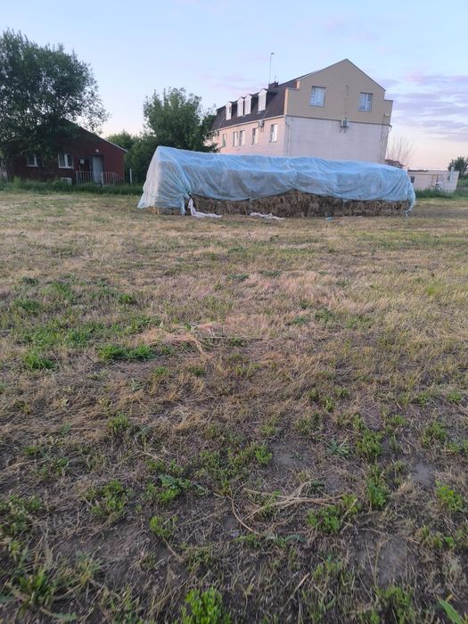 Жонышка сатылады