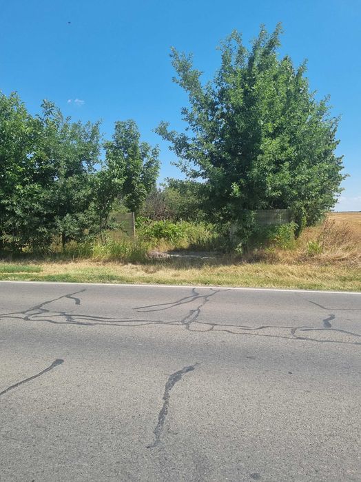 Teren 5000 m intravilan