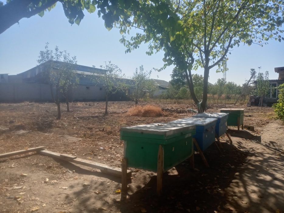 yer sootiladi yer maydo i 8 sotik 15000 minda sotigiga soravomiz