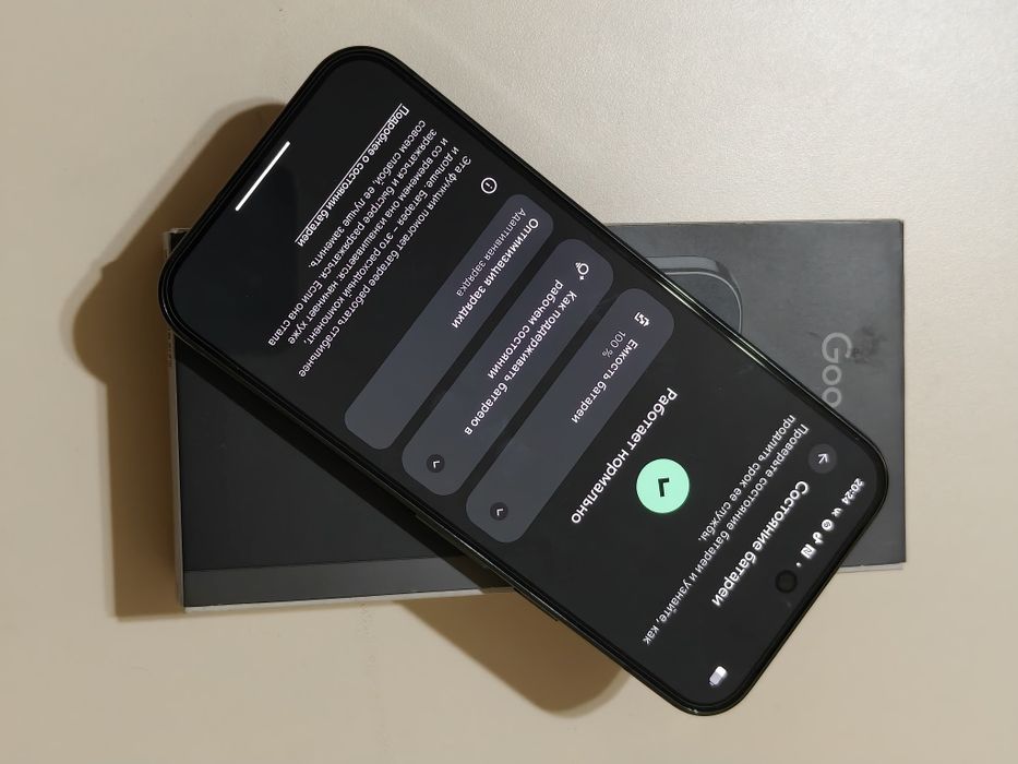 Pixel 10 Pro 256 gb Ram 16 ёмкость 100