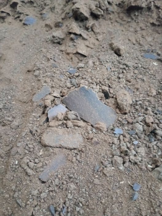 Șrot de floarea soarelui proteina 36%