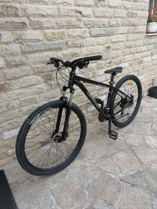 MTB Cannondale Trail 8 29/M
