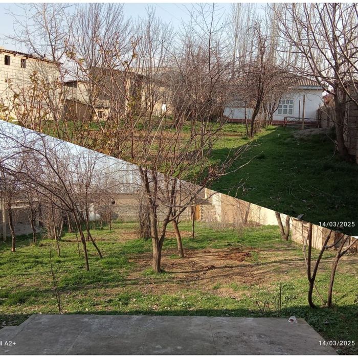 Яккабоґ туманидан хамма кулайликка ега Хонодон сотилади.