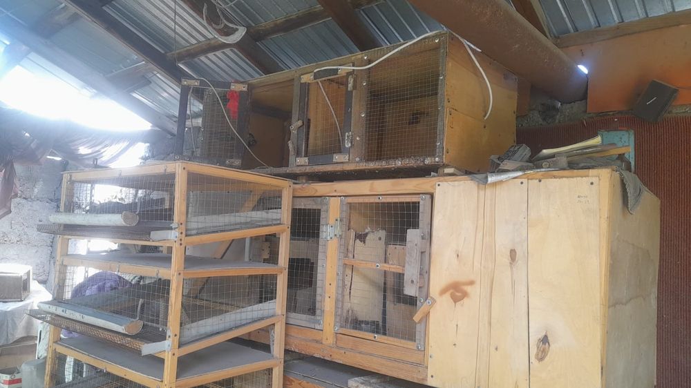 Продам клетки перепелиные