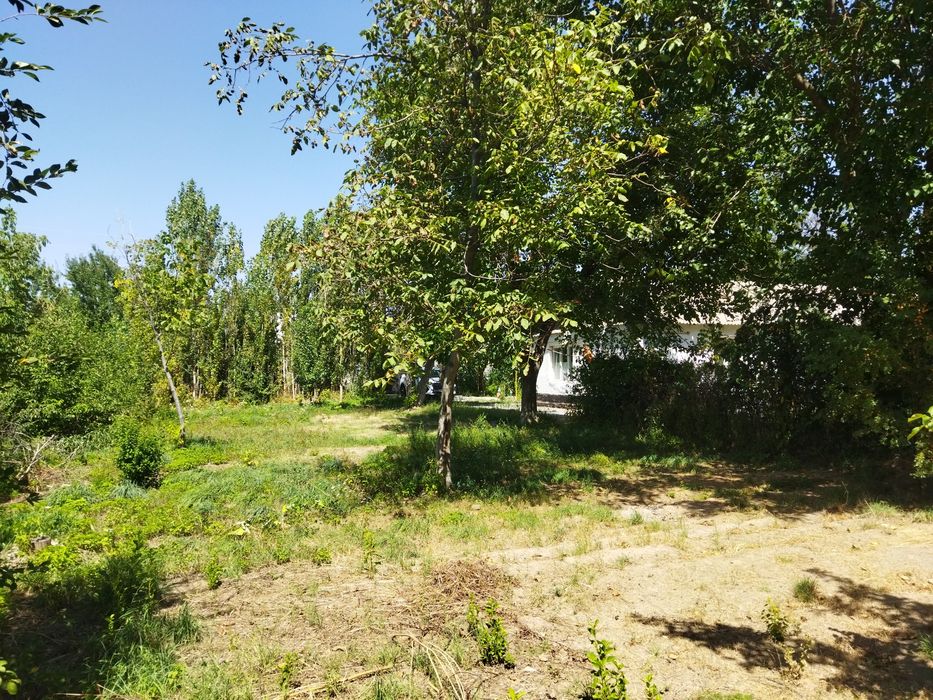 Үй сатылады. Шымкент