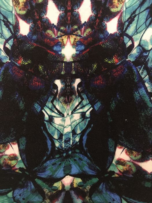 Пола с висока талия “Roomates”