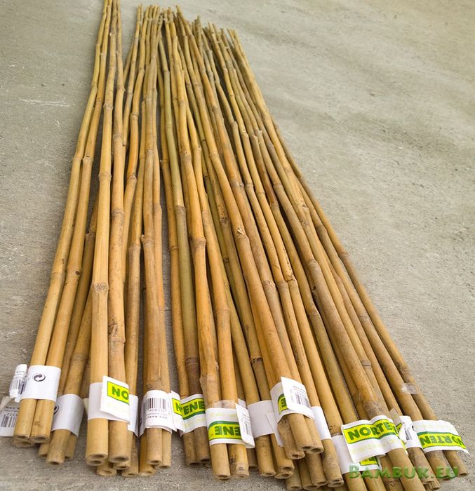 Бамбук на пръчки 120/150/180/210/300 см дължина