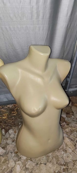 Bust manechin damă