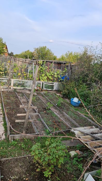 17 дачи, 3 общество