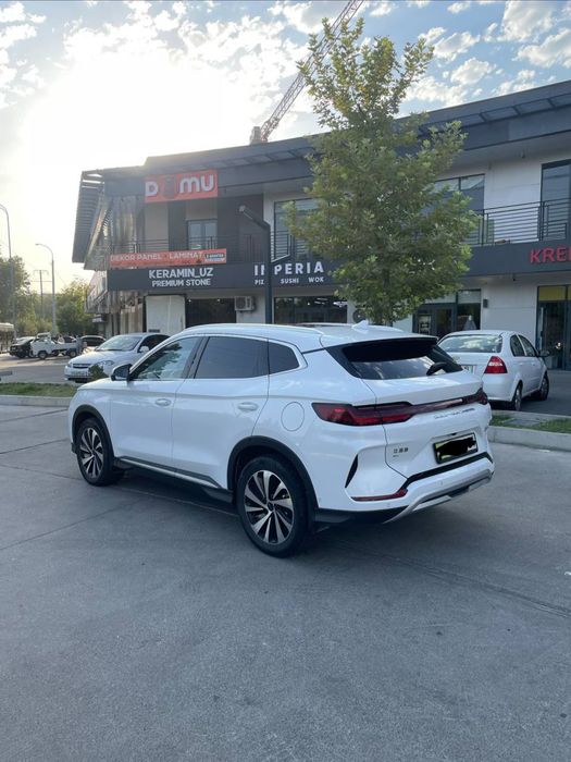 byd  chenpiyon 605 ful 2024