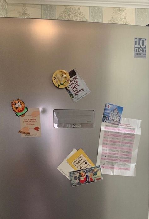 Холодельник серый