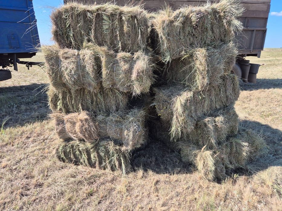 Продам сено в тюках разнотравие