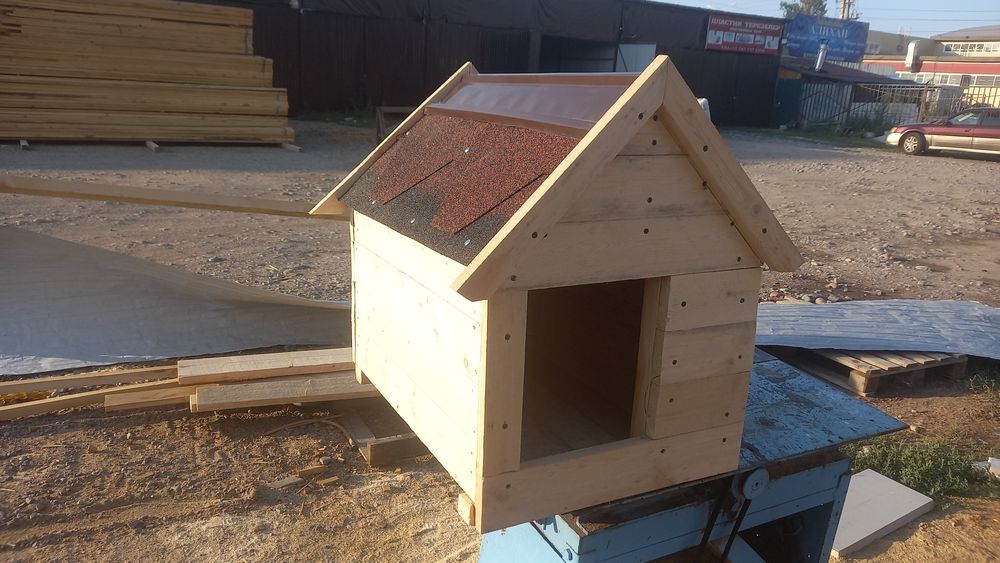 Собачье       будка