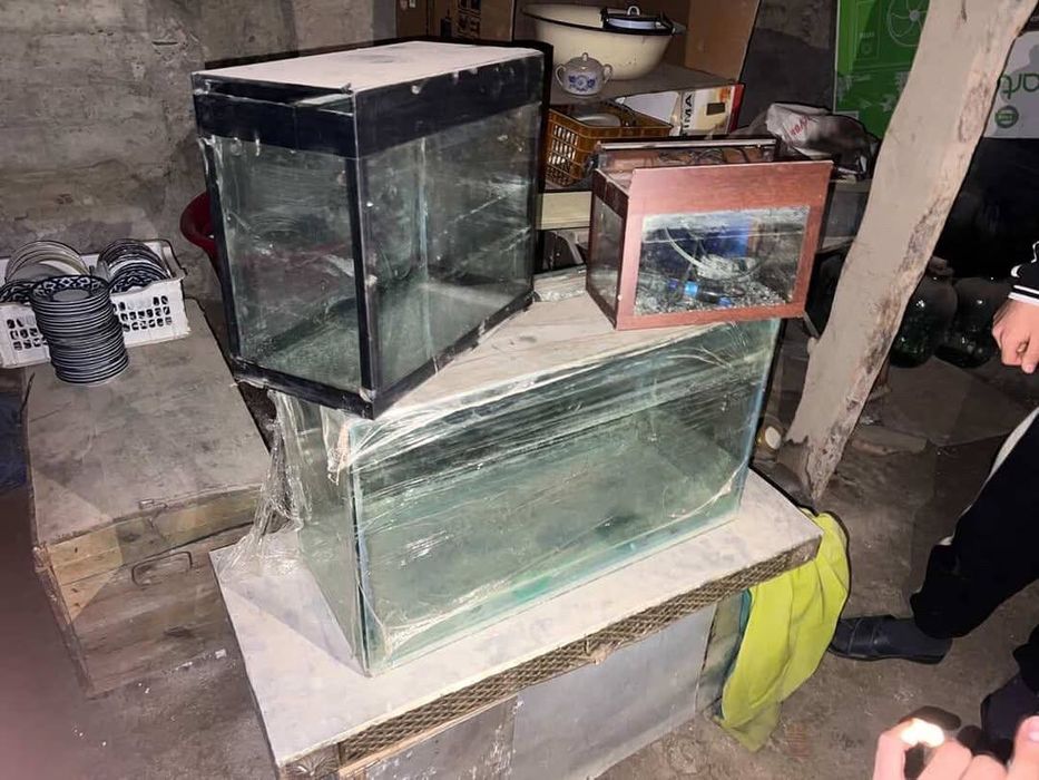 Аквариум срочно сотилади 3 та