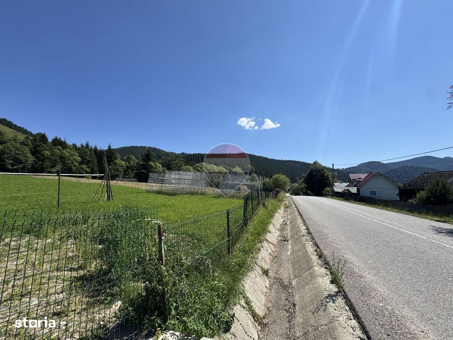 De vanzare | Teren intravilan 7620mp | Vitoria Lipan | Borca| Neamt