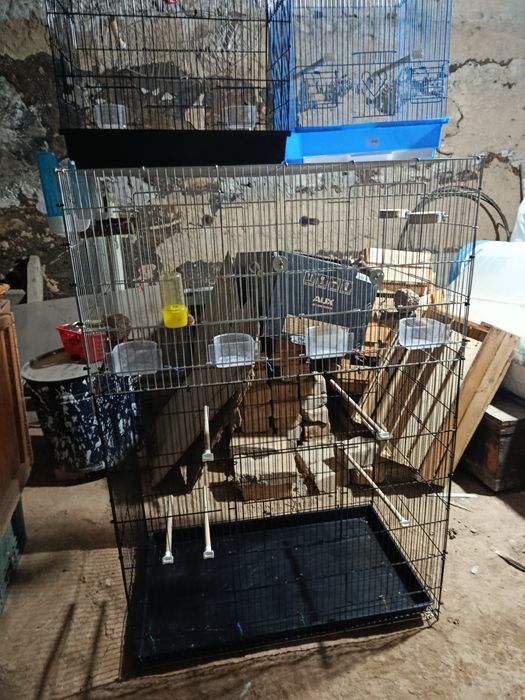 Всё за 500 тыс сум