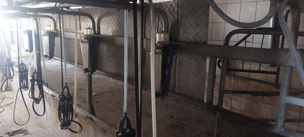 Sala de muls 7 posturi