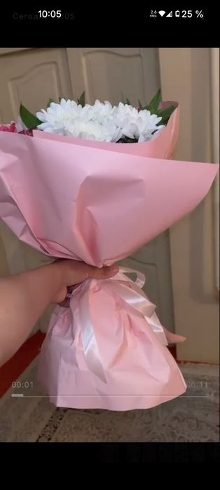 Белый хризантема Цветы свежие