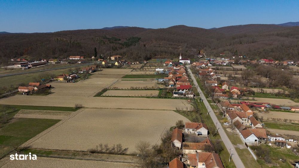 Loc de casă în Odvoș - Conop 3000mp