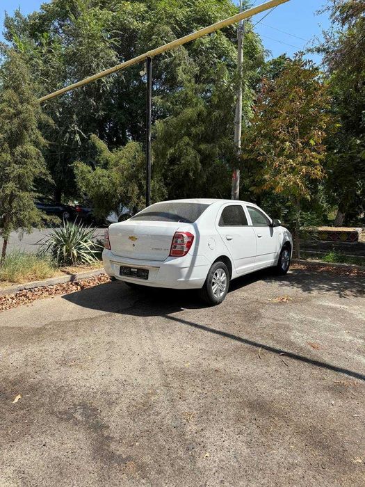 Cobalt 2025 bez probega