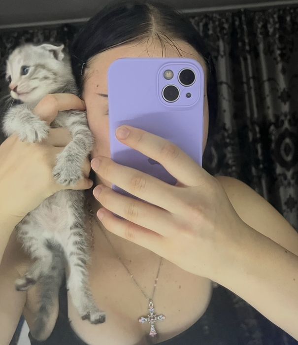 Отдам котенка девочка
