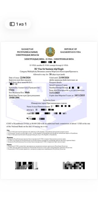 Kazakhstan Visas B1 • B2 • C5  Fast Processing
