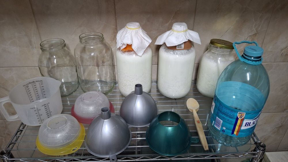 Vand ciuperca kefir
