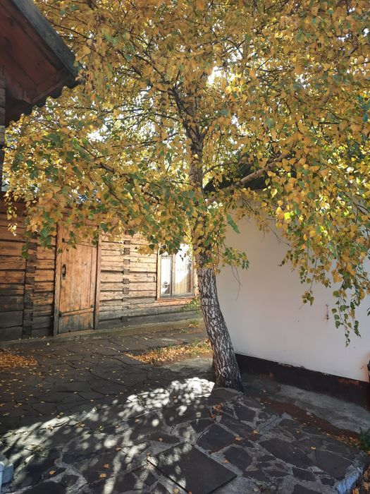 Домики в центре борового