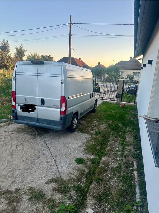 De vânzare pegeout boxer