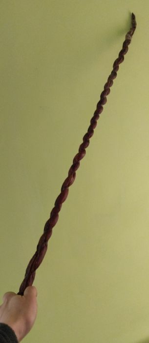 Vână de bou/ Cravașă