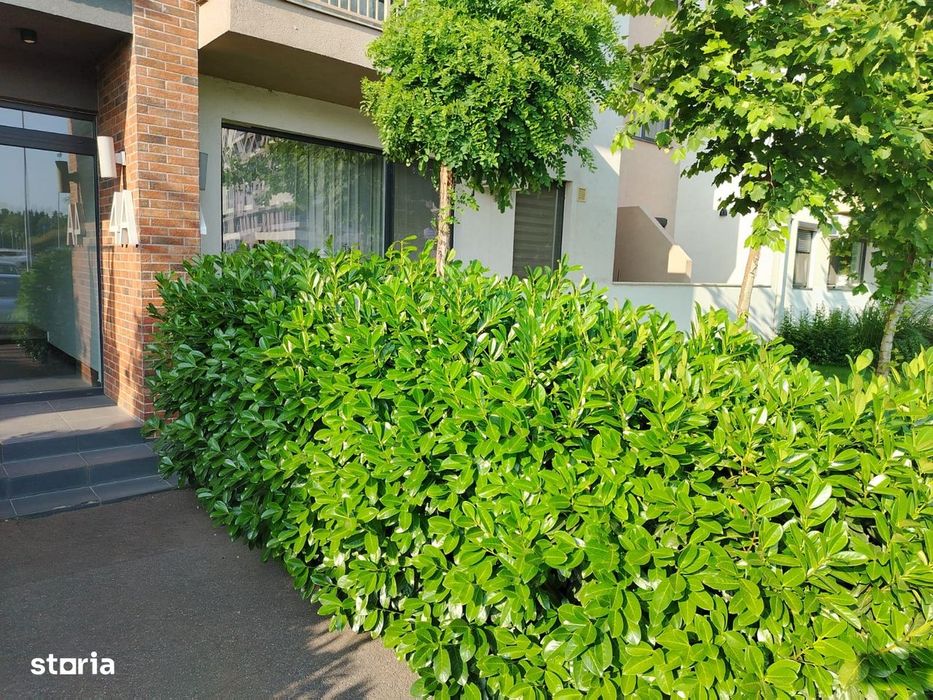 Închiriez apartament 2 camere decomandat in Oradea Prima Universitatii
