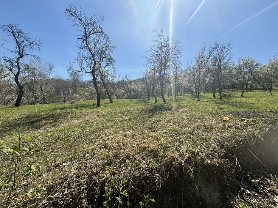 Raul Alb de Sus - extravilan faneata -5246mp