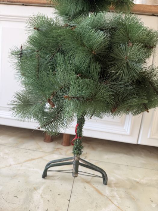 Елка сатылады, елка продается