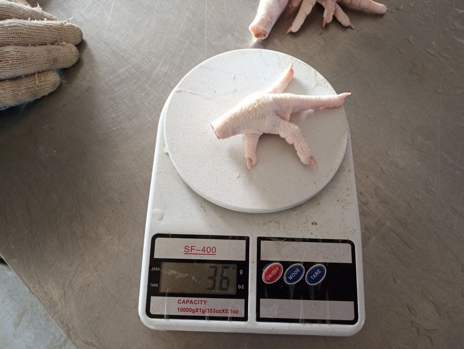 Куриные лапки. Paws