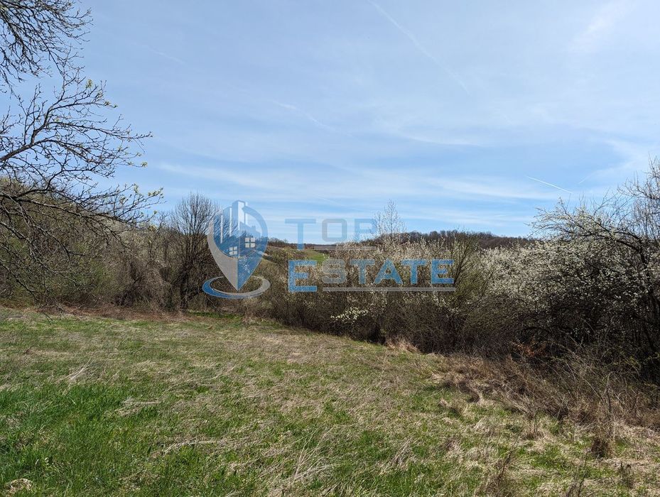 Продава се Парцел в Елена - 1000 кв.м за 12 €/кв.м - Снимка #5