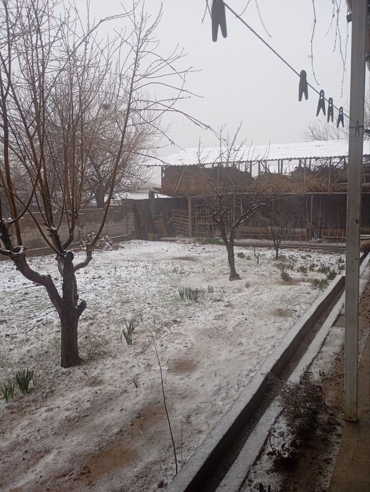 Продается участок вдоль дороги Шуробозор