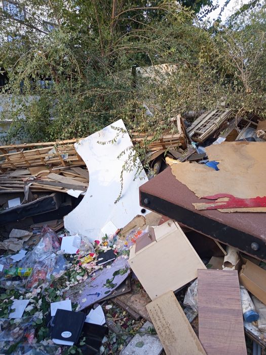 Дрова отдам даром