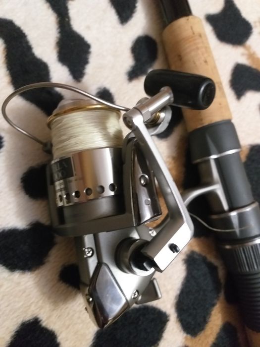 Lansetă plus mulinetă