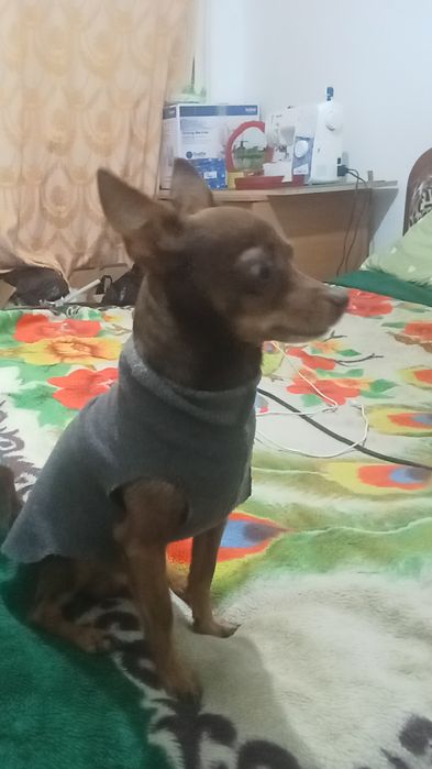 Ищем подругу ...