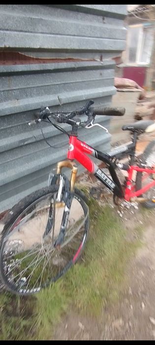 Продам два велика срочно