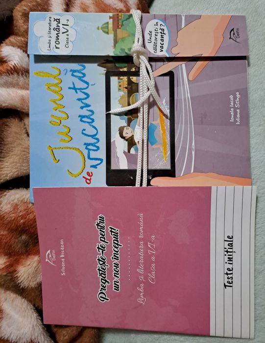 Carte . Jurnal de vacanță