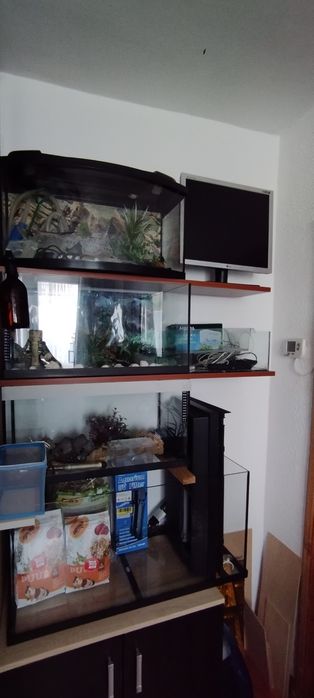 Acvarii 100litri, 50litri, 25litri