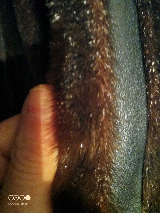 Луксозно кожено палто от тюлен с яка от енот – уникат, ръчно шито яке