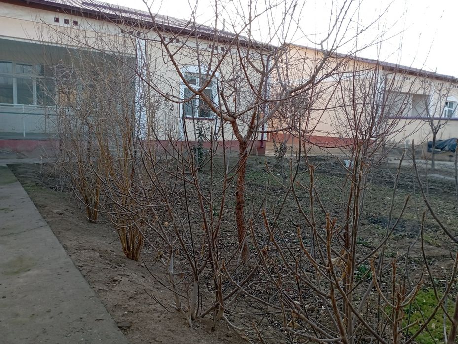 Namunali uy sotiladi