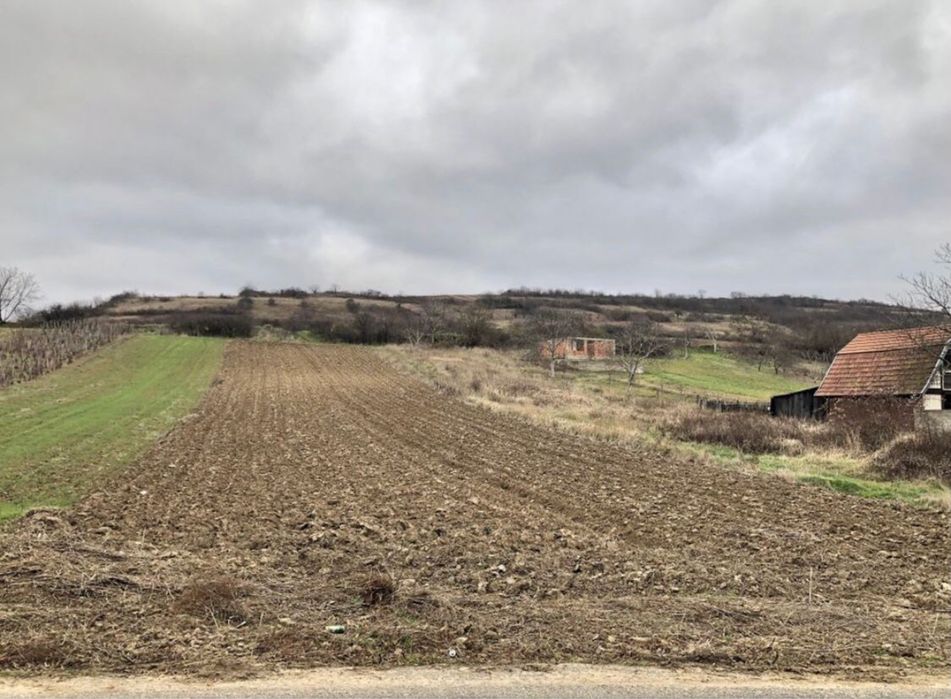 Vand teren la Dunare, DN 57, Liubcova (comuna Berzasca)