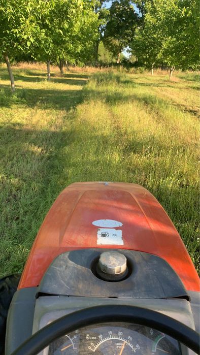 Плодоотдавща Орехова градина