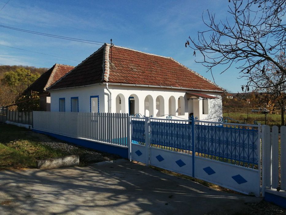 Dau in chirie casa loc. Salajeni